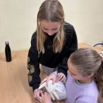 Uczennice podczas wspólnej pracy