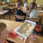 Uczeń ogląda plastry miodu