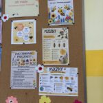 Gazetka o pszczołach