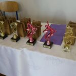 Statuetki i nagrody